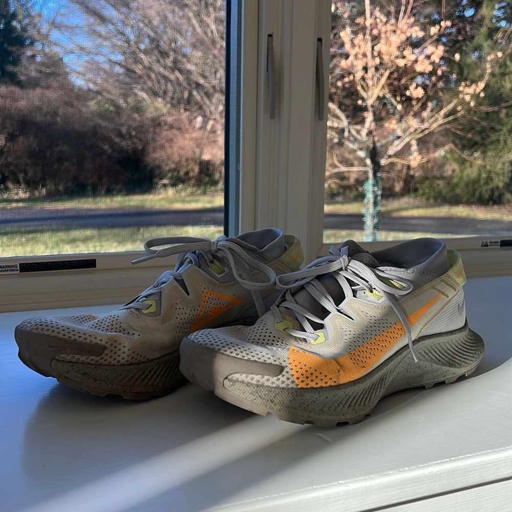 Nike Trail Pegasus